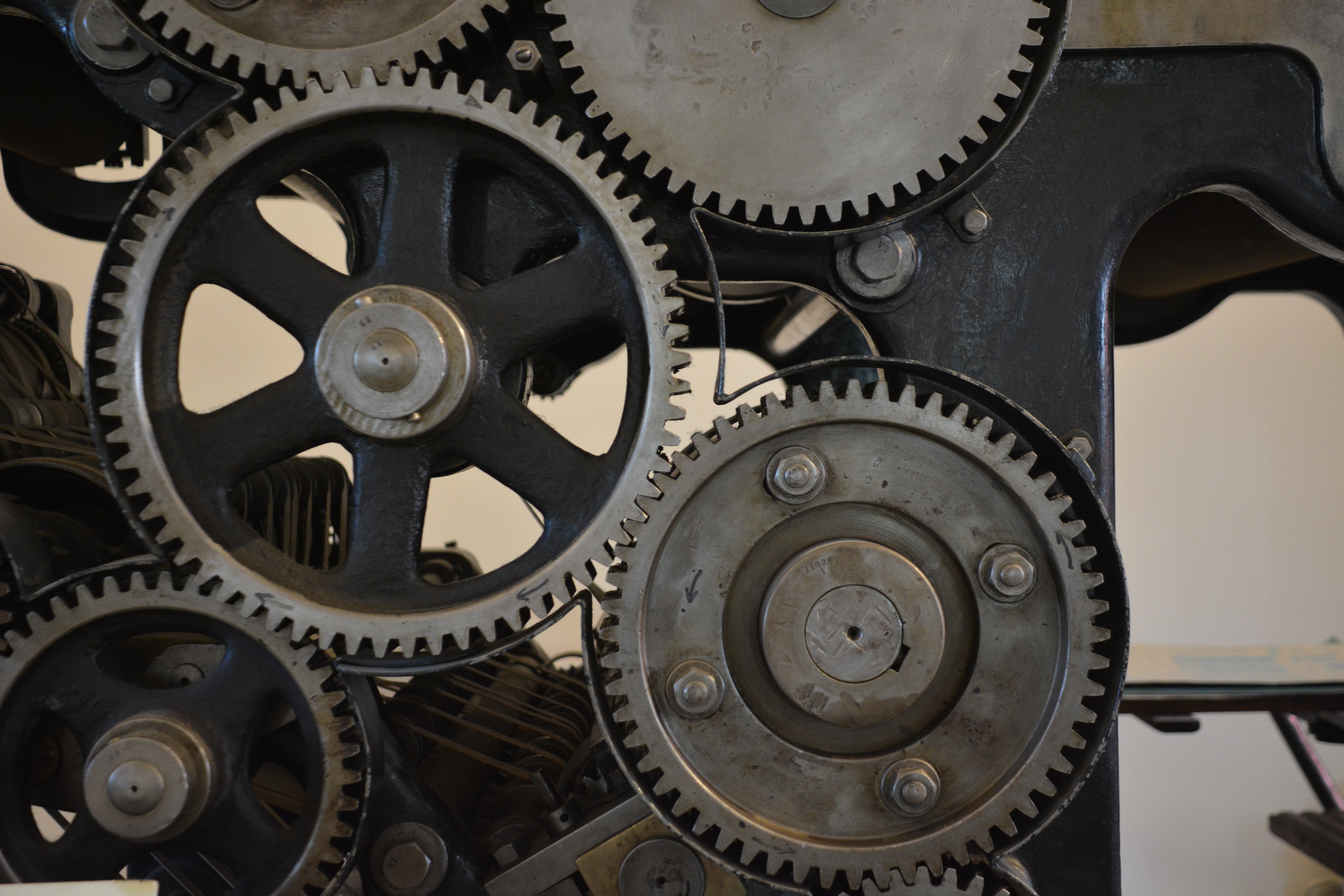 Picsum placeholder image